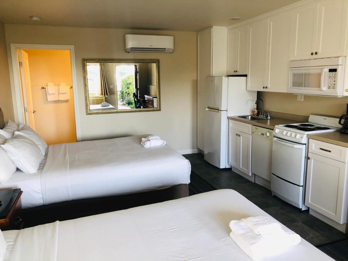 אנסיניטס Moonlight Beach Motel מראה חיצוני תמונה