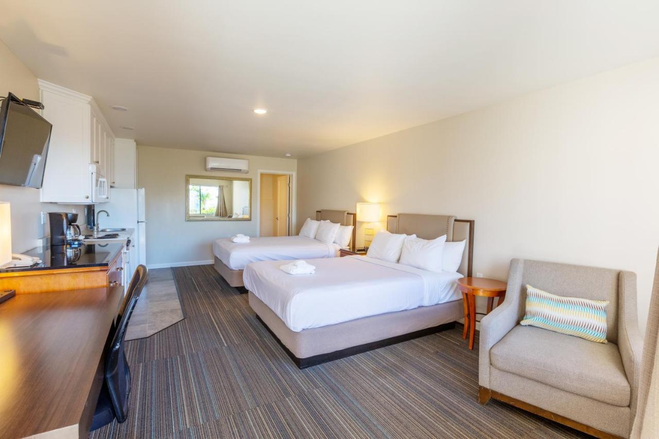 אנסיניטס Moonlight Beach Motel מראה חיצוני תמונה